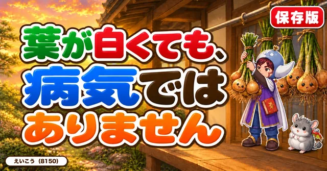 葉が白くても病気ではありません🧅