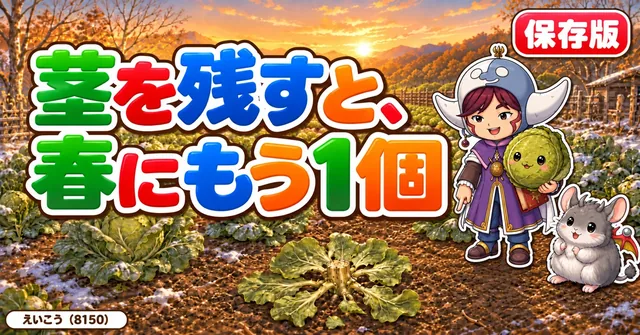 茎を残すと春にもう1個🥬