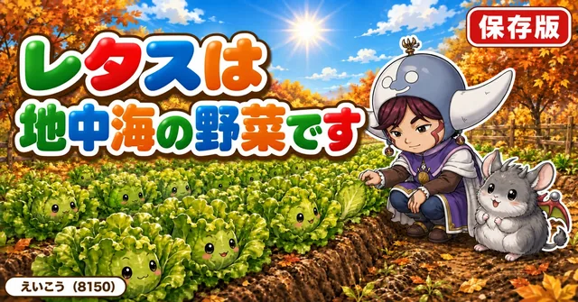 レタスは地中海の野菜です🥬