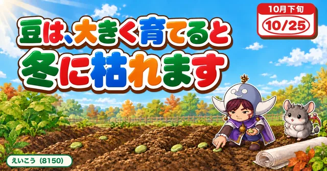 豆は大きく育てると枯れます🫛