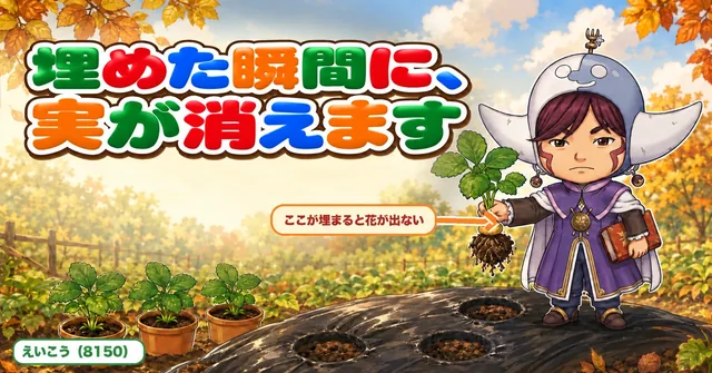 いちごのクラウンを埋めると実がなりません🍓