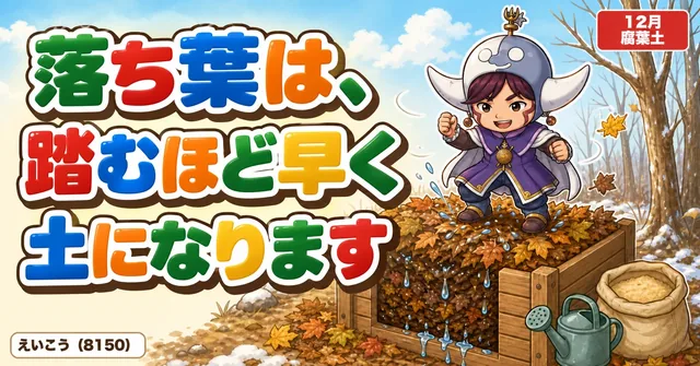 落ち葉は踏むほど土になる🍂