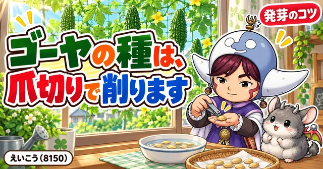 ゴーヤの種は、爪切りで削りま…