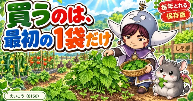 しそは、こぼれ種で毎年生えて…