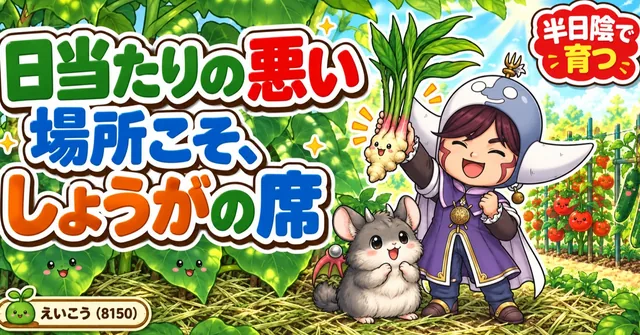 しょうがは、夏に一度穫れます